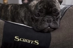 Hondenmand Zacht En Stevig, Anti-Slip En Wasbaar - Scruffs Chester Box Bed - In Grijs En Bruin In Maat S Tot XL - Kleur: Grijs, Maat: Medium -Katten Hondenbenodigdheden Winkel 1200x799 20