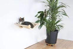 Trixie Hangmat Voor Aan De Muur Beige - 42X41 CM -Katten Hondenbenodigdheden Winkel 1200x799 44