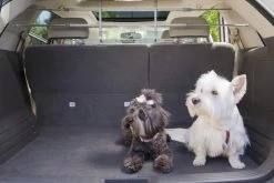 Petego - Afweermiddel Auto Rek Zilver -Katten Hondenbenodigdheden Winkel 1200x800 12