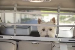 Petego - Afweermiddel Auto Rek Zilver -Katten Hondenbenodigdheden Winkel 1200x800 13