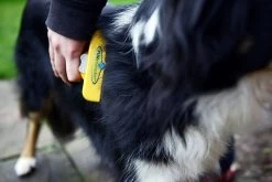 Furminator® Hond Langhaar - Vermindert Haaruitval Tot 90% - Hondenborstel - L -Katten Hondenbenodigdheden Winkel 1200x800 35