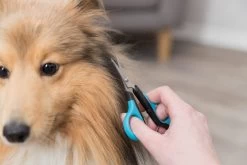 Trixie Gezicht- En Potenschaar Kunststof / Rvs 8 Cm -Katten Hondenbenodigdheden Winkel 1200x800 41