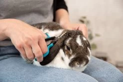 Trixie Gezicht- En Potenschaar Kunststof / Rvs 8 Cm -Katten Hondenbenodigdheden Winkel 1200x800 43