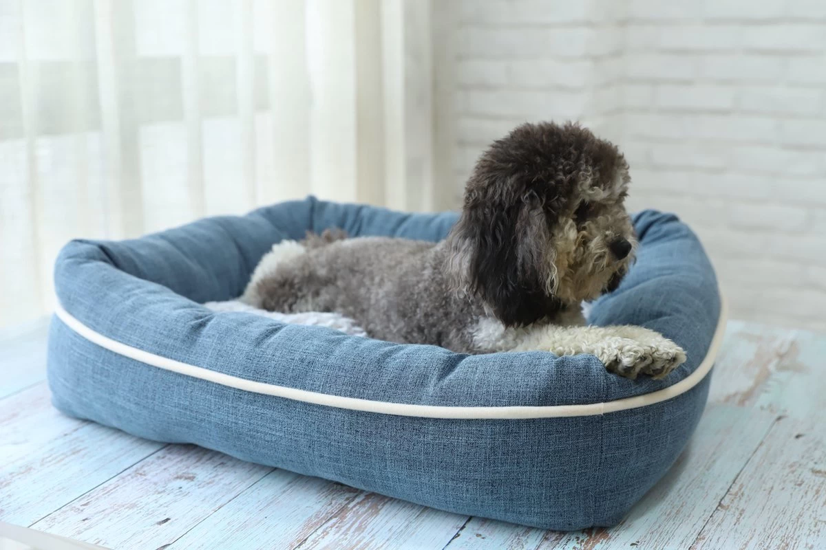 I-CiGO Homy Luxe - Hondenmand - In-kussen Dubbelzijdig Gebruik 70x60xH14cm/Blauw 3 I-CiGO Homy Luxe - Hondenmand - In-kussen Dubbelzijdig Gebruik 70x60xH14cm/Blauw