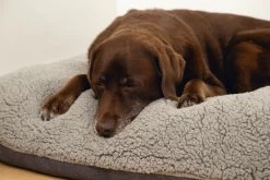 Beeztees Ruba - Orthopedisch Hondenkussen - Grijs - 100x70cm -Katten Hondenbenodigdheden Winkel 1200x800 70