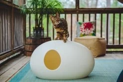 SinDesign Poopoopeedo Kattenbak - Zwart -Katten Hondenbenodigdheden Winkel 1200x800 87