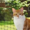 Nobby Kattennet Voor Balkon - 2 X 3 Meter -Katten Hondenbenodigdheden Winkel 1200x802 4