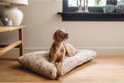 Designed By Lotte Hondenkussen Pluche Xanti Beige 70x 50 X 5 Cm -Katten Hondenbenodigdheden Winkel 1200x804 5