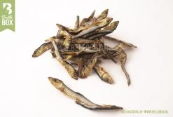 Bellobox - Beloningsbox - Hondensnacks - 100% Natuurlijk - Trainingssnacks - Cadeaubox -Katten Hondenbenodigdheden Winkel 1200x811