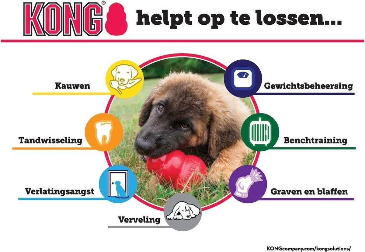 Kong Extreme 5 Kong Extreme - Afbeelding 3