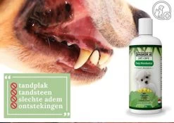 Easy Mondwater Voor Honden - 237 Ml - Tegen Stinkende Adem - Tandplak - Tandsteen - Tandvleesproblemen -Katten Hondenbenodigdheden Winkel 1200x852 1