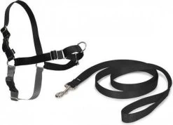 Petsafe Easy Walk® Deluxe Harness - Hondentuigje - Blauw - M - 1,8 M -Katten Hondenbenodigdheden Winkel 1200x863