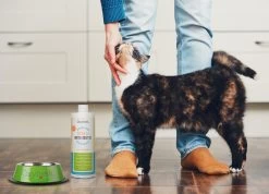 OxyFresh Pet Mondwater Hond En Kat. Helpt Tegen Tandsteen, Plak En Vieze Ademgeurtjes -Katten Hondenbenodigdheden Winkel 1200x864