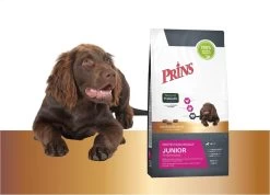 Prins Protection Croque Junior - Performance - Hondenvoer - 10 Kg 12 Prins Protection Croque Junior - Performance - Hondenvoer - 10 Kg -Katten Hondenbenodigdheden Winkel 1200x867 2