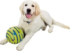 Wobble Wag Giggle Bal+ Honden Touw (30cm)- Honden Bal - Honden Speeltjes - Honden Speelgoed Intelligentie -Katten Hondenbenodigdheden Winkel 1200x870