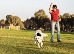 Kong Extreme 38 Kong Extreme -Katten Hondenbenodigdheden Winkel 1200x881