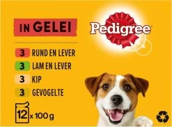 Pedigree Adult Honden Natvoer - Vlees & Gevogelte In Gelei - 4 X 6 Stuks 6 Pedigree Adult Honden Natvoer - Vlees & Gevogelte In Gelei - 4 X 6 Stuks -Katten Hondenbenodigdheden Winkel 1200x883 2