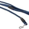 Merkloos Slipriem - Nylon - Riem Voor Hond - Blauw -Katten Hondenbenodigdheden Winkel 1200x884