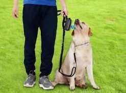 Hondenpoepzakjes Dispenser - Hondenzakjes Honden Poepzakjes Houder -Zwart -Katten Hondenbenodigdheden Winkel 1200x890