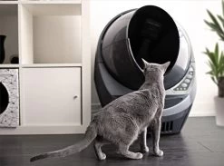 Litter-Robot 3 Connect Automatische Zelfreinigende Kattenbak -Katten Hondenbenodigdheden Winkel 1200x891 2