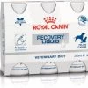 Royal Canin Recovery Liquid Hond Kat 3 X 200 Ml -Katten Hondenbenodigdheden Winkel 1200x896 2