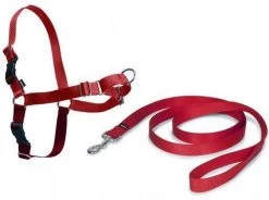 Petsafe Easy Walk® Deluxe Harness - Hondentuigje - Blauw - M - 1,8 M -Katten Hondenbenodigdheden Winkel 1200x896