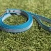 Merkloos Hondenriem - Antislip Lijn - 3 Meter - Turquoise - Training - Anti Slip - Volglijn - Looplijn - Speurlijn - Puppy
