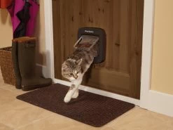 PetSafe Staywell Microchip Kattenluik - Bruin -Katten Hondenbenodigdheden Winkel 1200x900 23