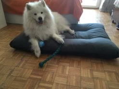 Hondenkussen XL - Donkergrijs - 60 X 90 X 12 -Katten Hondenbenodigdheden Winkel 1200x900 6