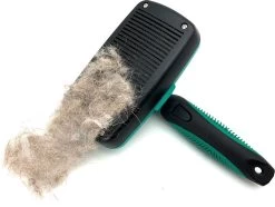 ElegaPet Hondenborstel Groen - Hondenhaar Verwijderen - Kat En Hondenkam - Slickerborstel Hond En Kat - Groomer - Ondervacht Kam Hond - Borstel Hond - Hondenborstel Langharig En Kortharig - Slickerborstel - Anti Klit/Knopen/Huidschilfers -Katten Hondenbenodigdheden Winkel 1200x902