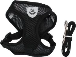 *** Katy`s Kattentuigje Zwart Maat M Met Looplijn - Kleine Hond - Kattenharnas - Honden Harnas - Kattenriem - Uitlaten - Van Heble® *** -Katten Hondenbenodigdheden Winkel 1200x903 1