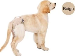 Loopsheidbroekje Hond - Beige - Maat S - Hondenbroekje - Hondenluier - Loopsheid Teef - Wasbaar -Katten Hondenbenodigdheden Winkel 1200x904