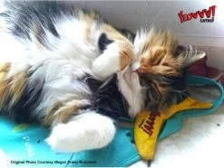 Yeowww! Chicata Banana - Speeltje Voor Katten Met Kattenkruid - De Meest Krachtige Catnip Ter Wereld – Onweerstaanbaar – Katoen – 17.7 Cm - Geel -Katten Hondenbenodigdheden Winkel 1200x904 4