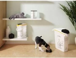 Curver Voedselcontainer Kat - 10 L -Katten Hondenbenodigdheden Winkel 1200x917 1