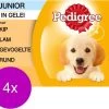 Pedigree Pouch Junior Multipack - Hondenvoer - 4 X 12x100 G -Katten Hondenbenodigdheden Winkel 1200x997 1