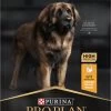 Pro Plan Everyday Nutrition Large Robust Adult - Honden Droogvoer - Kip - 14 Kg -Katten Hondenbenodigdheden Winkel 566x1200 1