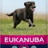 Eukanuba Dog Adult Large Breed - Kip - Hondenvoer - 15 Kg -Katten Hondenbenodigdheden Winkel 577x1200