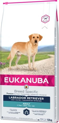 Eukanuba Dog Labrador Retriever - 12 KG -Katten Hondenbenodigdheden Winkel 580x1200 1