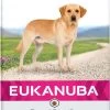 Eukanuba Dog Labrador Retriever - 12 KG -Katten Hondenbenodigdheden Winkel 589x1200