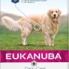 Eukanuba Daily Care Overweight - Sterilised 12 Kg -Katten Hondenbenodigdheden Winkel 597x1200
