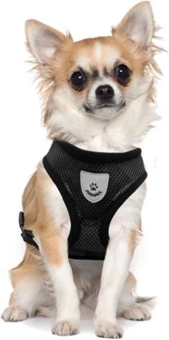 Ease Store Kattentuigje – Maat S – Met Looplijn – Kittentuigje – Dierentuigje – Hondentuigje – Reflecterend – Zwart 11 Ease Store Kattentuigje – Maat S – Met Looplijn – Kittentuigje – Dierentuigje – Hondentuigje – Reflecterend – Zwart -Katten Hondenbenodigdheden Winkel 597x1200 4