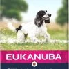 Eukanuba Dog Mature & Senior - Medium Breed - Kip - Hondenvoer - 15 Kg -Katten Hondenbenodigdheden Winkel 607x1200 3