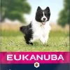 Eukanuba Dog Adult Small/Medium Breed Lamb / Rice - 12 KG 1 Eukanuba Dog Adult Small/Medium Breed Lamb / Rice - 12 KG -Katten Hondenbenodigdheden Winkel 619x1200 1