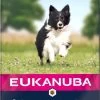 Eukanuba Dog Mature & Senior - Alle Rassen - Lam & Rijst - Droogvoer - 12 Kg -Katten Hondenbenodigdheden Winkel 619x1200