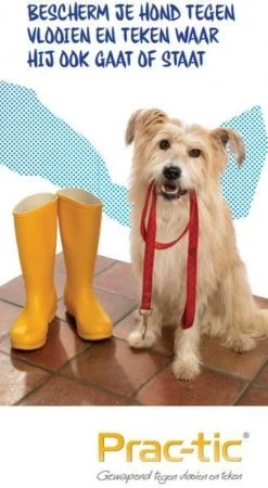 Prac-tic Middel Grote Hond 11 Tot 22 Kg - 1 St à 3 Pipetten -Katten Hondenbenodigdheden Winkel 658x1200