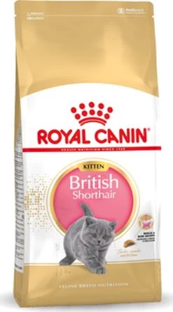 Royal Canin British Shorthair Kitten - 2 Kg -Katten Hondenbenodigdheden Winkel 668x1200 2