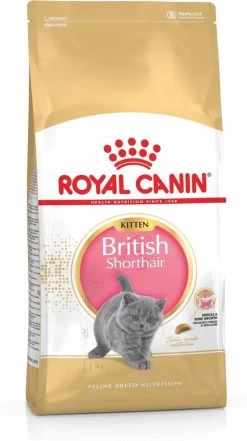 Royal Canin British Shorthair Kitten - 2 Kg -Katten Hondenbenodigdheden Winkel 672x1200 3