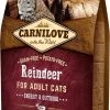 Carnilove Granenvrij Rendier Energy/Outdoor 6kg 2 Carnilove Granenvrij Rendier Energy/Outdoor 6kg -Katten Hondenbenodigdheden Winkel 673x1200 4