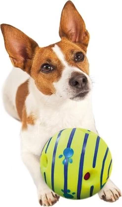 Wobble Wag Giggle Bal+ Honden Touw (30cm)- Honden Bal - Honden Speeltjes - Honden Speelgoed Intelligentie -Katten Hondenbenodigdheden Winkel 705x1200