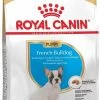 Royal Canin French Bulldog Junior 3 KG -Katten Hondenbenodigdheden Winkel 717x1200 1